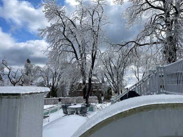 Trees cloaked in ice on Mackinac Island.