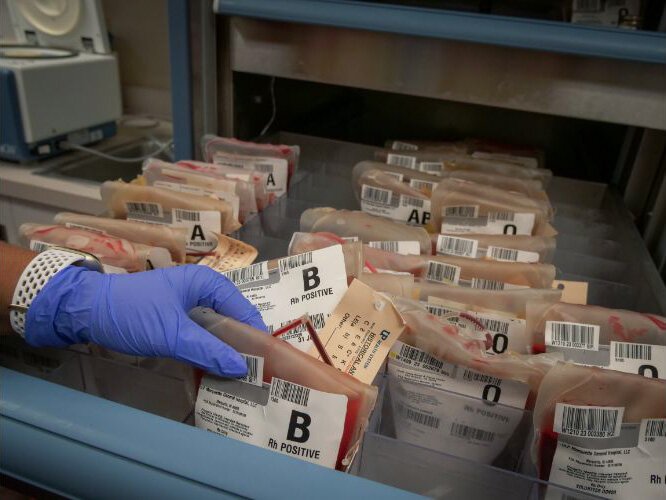  While 38% of the population of the United States is able to donate blood, only about 10% does. 