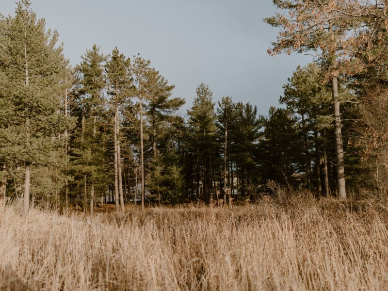 The site of the Marquette Outdoor Venture Innovation Center.
