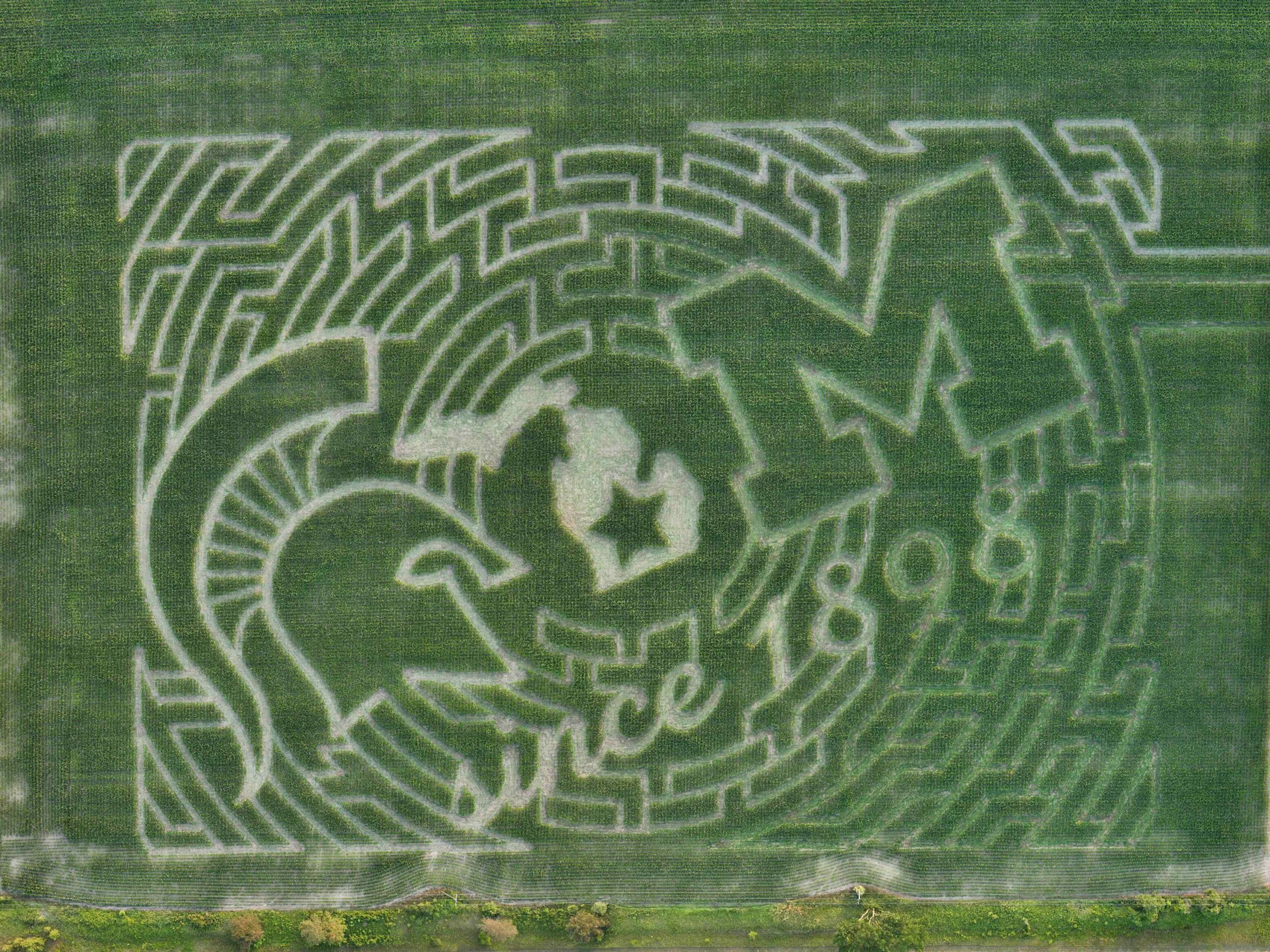 The rivalry maze at Choice Farm Market in Webberville.