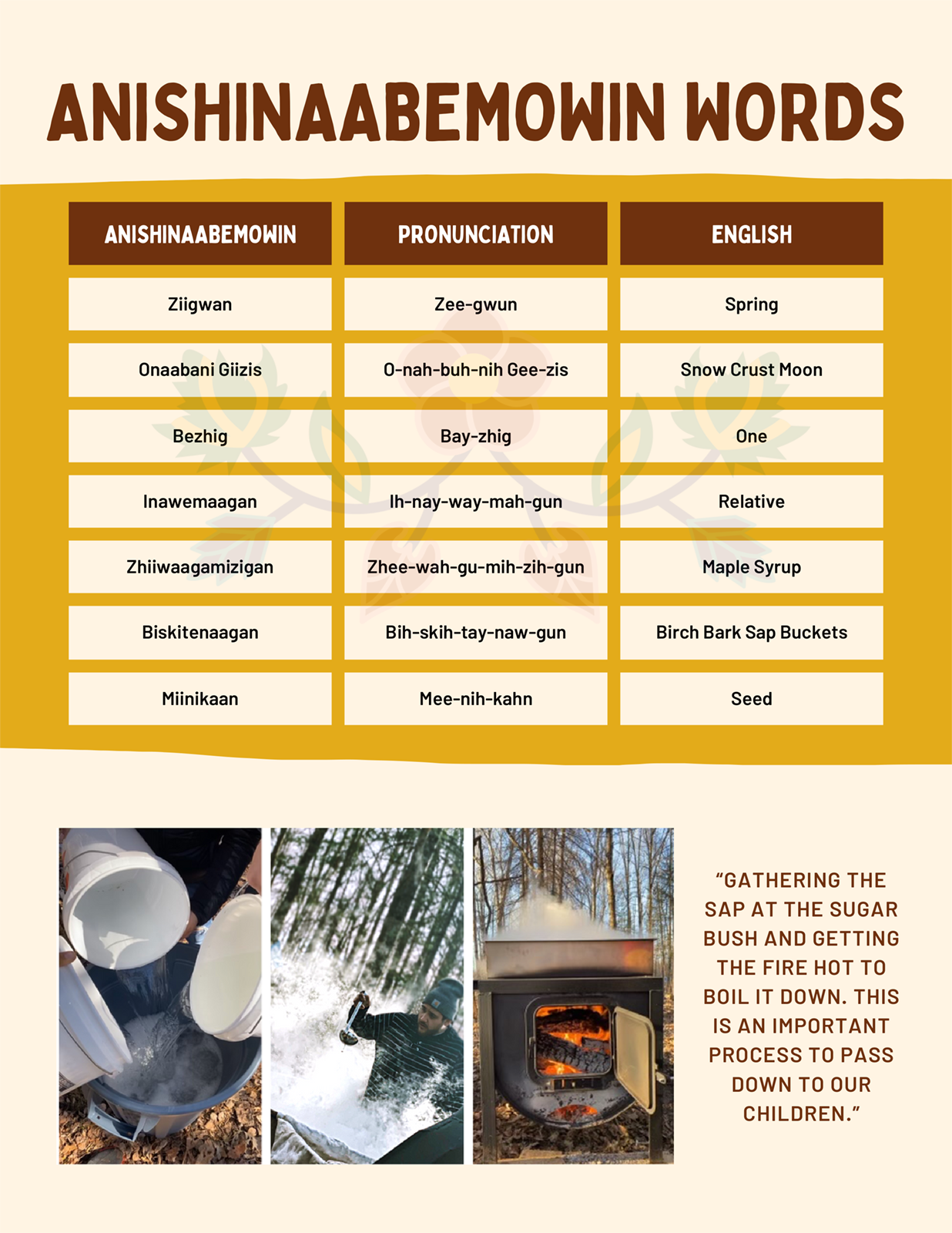 A sample page from the 13 Moons curriculum.