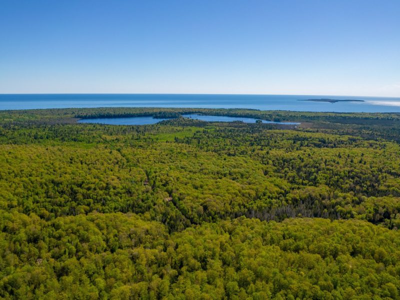 Land like this in Michigan’s Keweenaw Peninsula will be conserved after a massive sale.