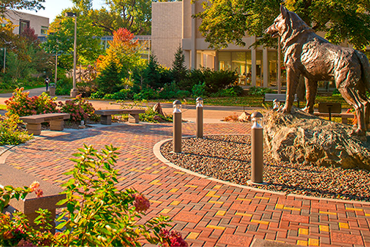 Michigan Technological University.