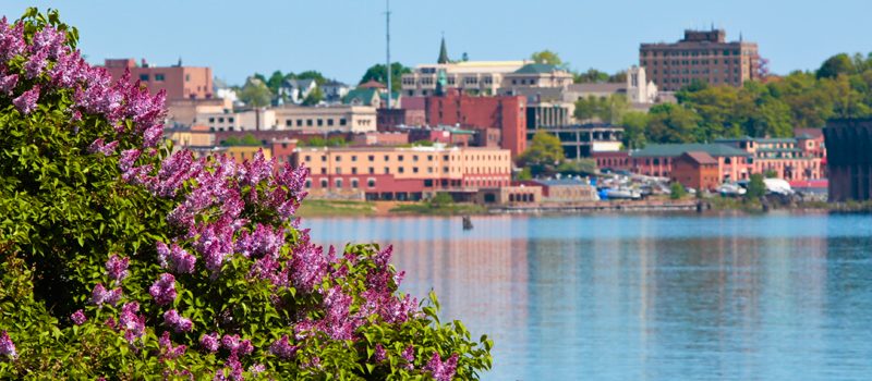 Lilacs in bloom , Marquette lower harbor I Shawn Malone