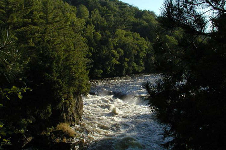 Dickinson County, Michigan.