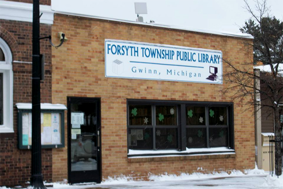 A look at the Forsyth Township Public Library.